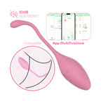 Ovetto Vibrante con App Vibratore Vaginale Indossabile Sex Toy per Coppia USB
