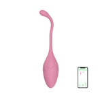 Ovetto Vibrante con App Vibratore Vaginale Indossabile Sex Toy per Coppia USB
