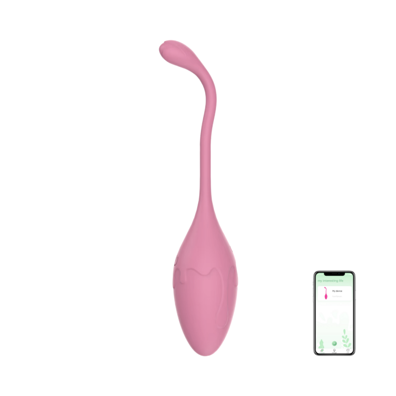 Ovetto Vibrante con App Vibratore Vaginale Indossabile Sex Toy per Coppia USB