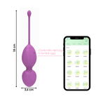 Palline Vaginali Vibranti Kegel Controllo con App Ovetto Vibrante in Silicone USB